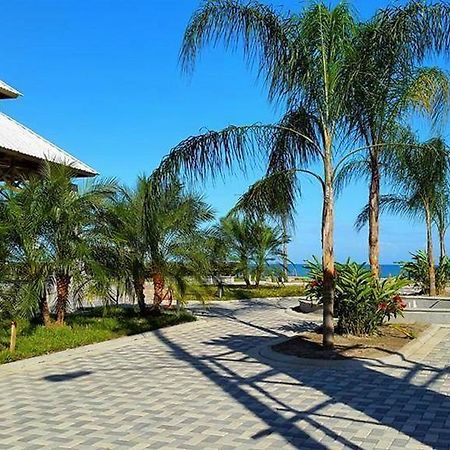 Uw Oasis Hotel La Ceiba Exterior foto